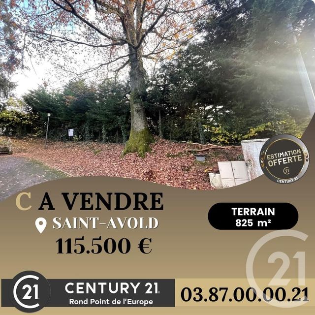 terrain - ST AVOLD - 57
