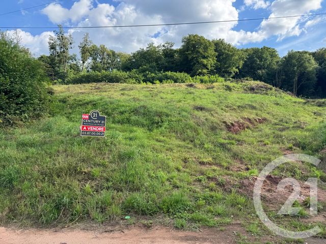 terrain à vendre - 3974.0 m2 - ST AVOLD - 57 - LORRAINE - Century 21 Rond Point De L'Europe