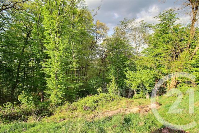 maison à vendre - 6 pièces - 150.0 m2 - ST AVOLD - 57 - LORRAINE - Century 21 Rond Point De L'Europe